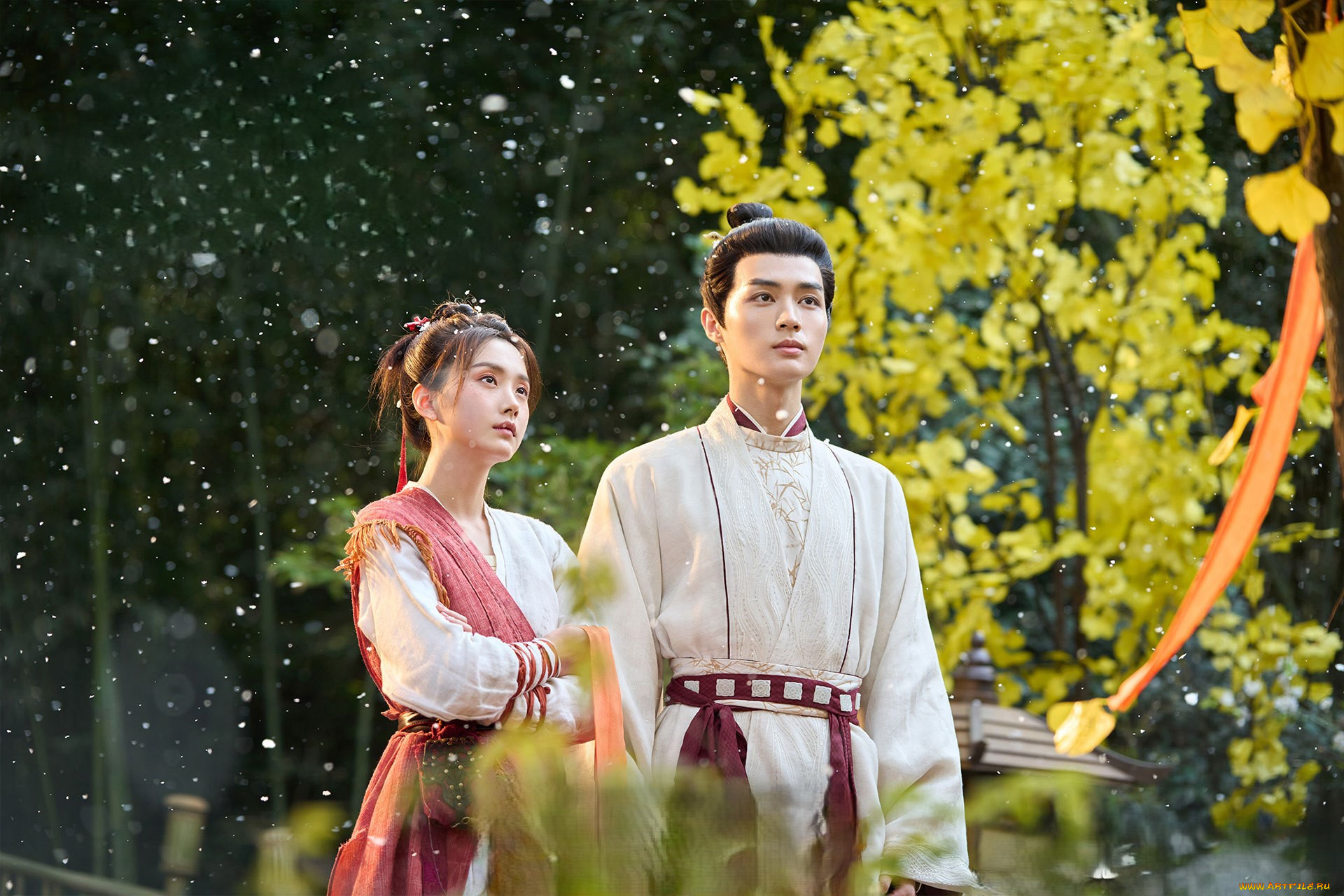  , love of petals, love, of, petals